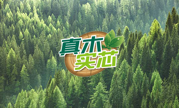 永森木业